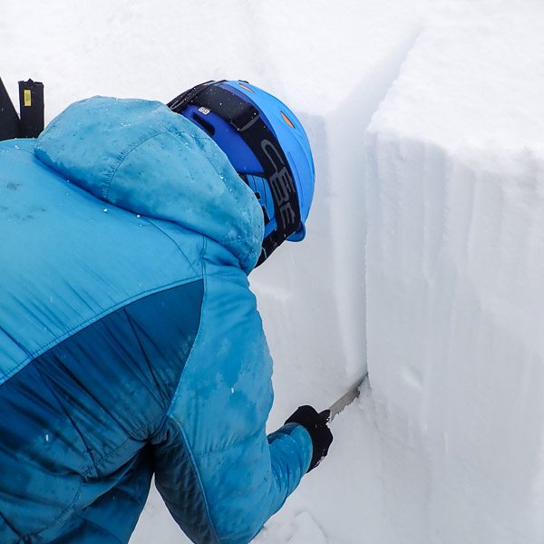 Avalanche Safety Courses be safer in the mountains
